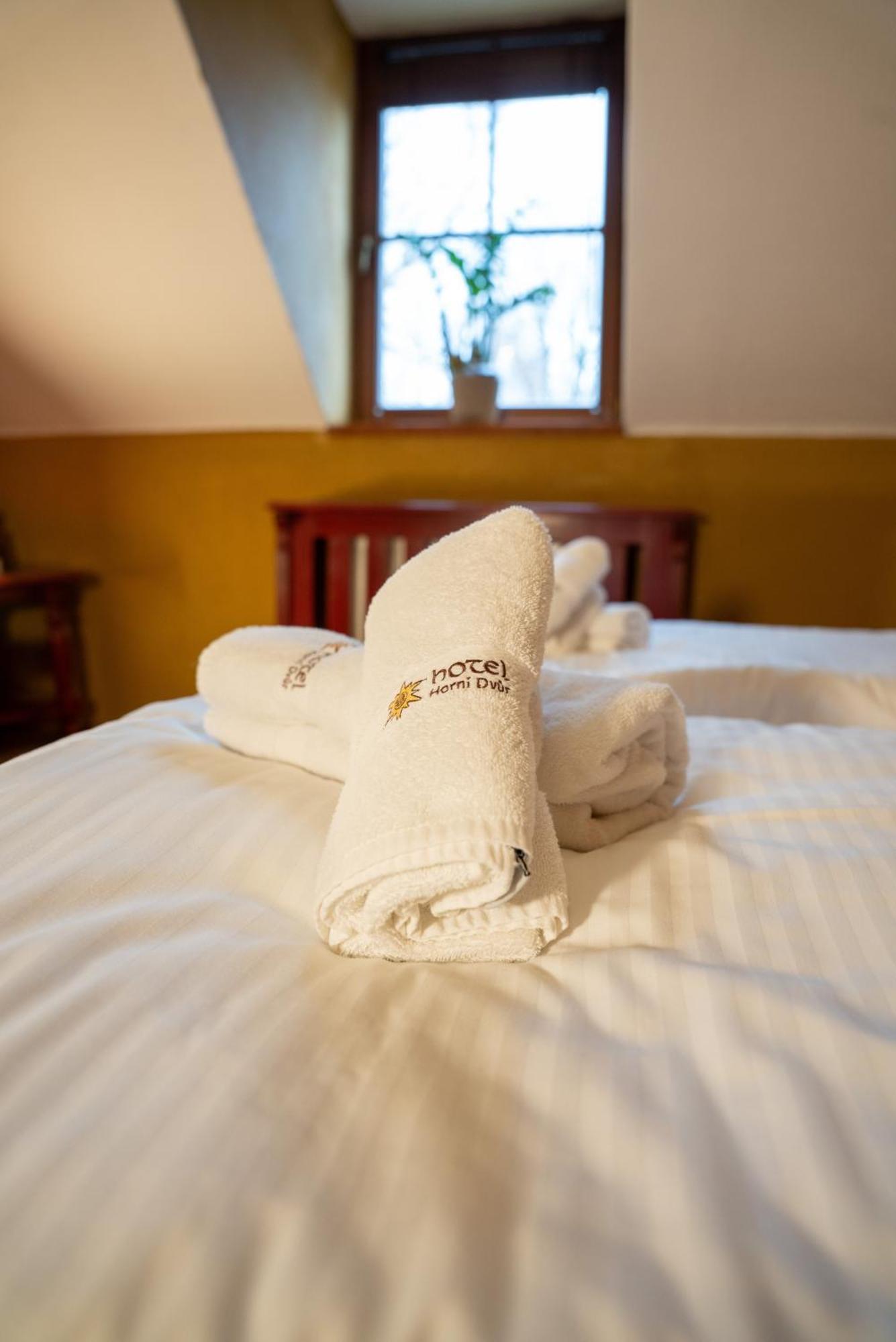 Hotel Horní Dvůr Nove Mesto na Morave Exterior foto